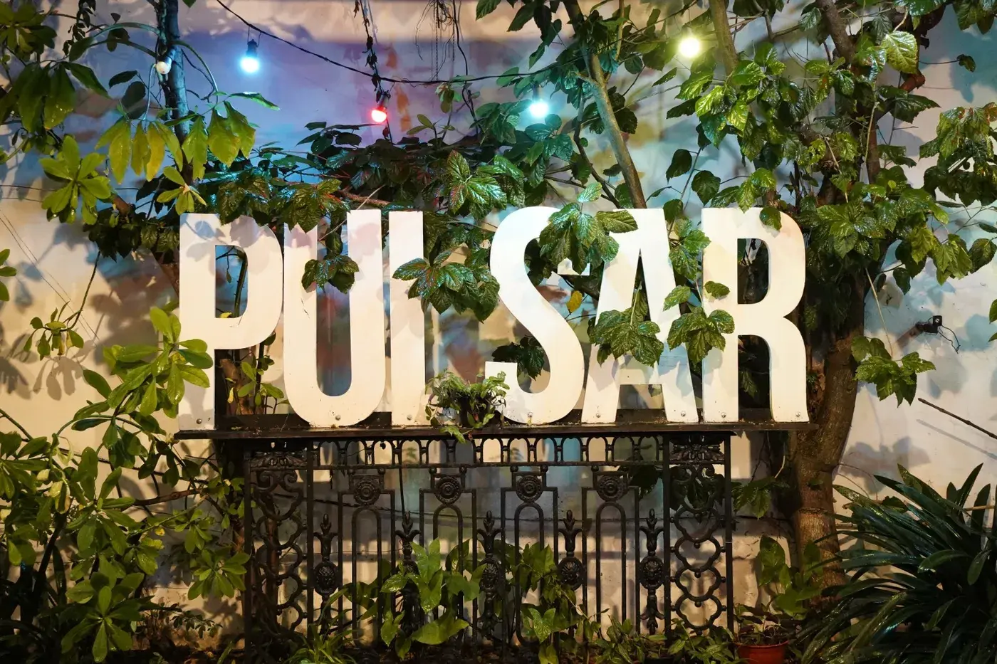 Sociales y nuevos vínculos en Café Pulsar
